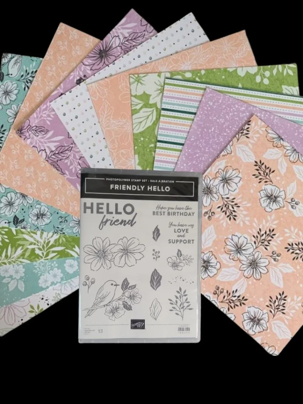 Stampin' Up! Friendly Hello Stamp Set with 12x12 Designer Series Paper DSP